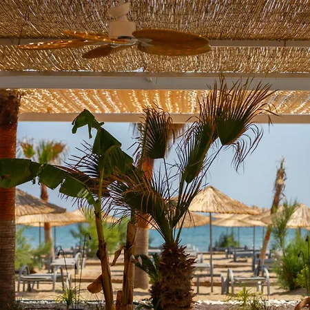 Sea Ayvalı